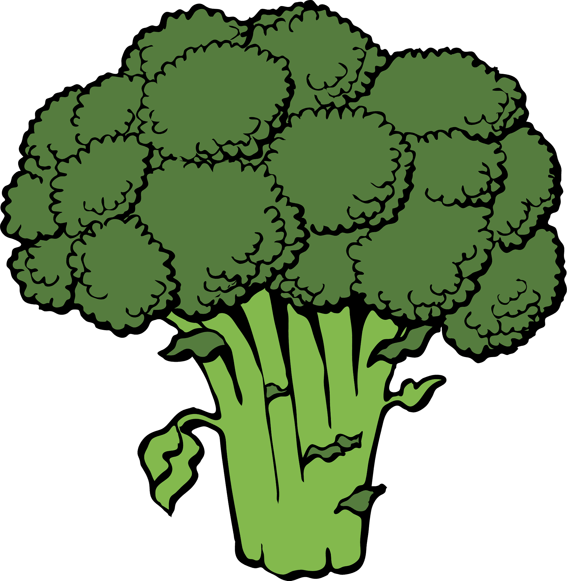 Broccoli